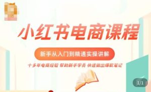 小红书电商新手入门到精通实操课,从入门到精通做爆款笔记,开店运营-知乎者也
