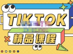 电商孵化中心·TikTok精品课程，教你玩转海外抖音，低成本创业，带您从0开始玩转TikTok-知乎者也