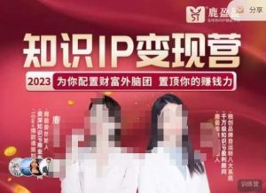 鹿盈盈-知识IP变现实操营,普通人可复制的知识产品落地实操课,带你打通知识IP变现底层逻辑-知乎者也