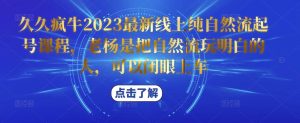 久久疯牛2023最新线上纯自然流起号课程,老杨是把自然流玩明白的人,可以闭眼上车-知乎者也