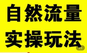 拼多多自然流量天花板,拼多多自然流的实操玩法,自然流量是怎么来的,如何开车带来自然流等知识-知乎者也