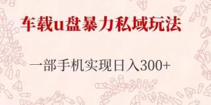 车载u盘暴力私域玩法，长期项目，仅需一部手机实现日入300+-知乎者也