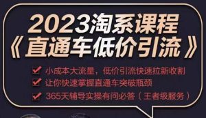 2023直通车低价引流玩法课程，小成本大流量，低价引流快速拉新收割，让你快速掌握直通车突破瓶颈-知乎者也