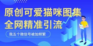 黑科技纯原创可爱猫咪图片,全网精准引流,实操5个VX号被加频繁-知乎者也