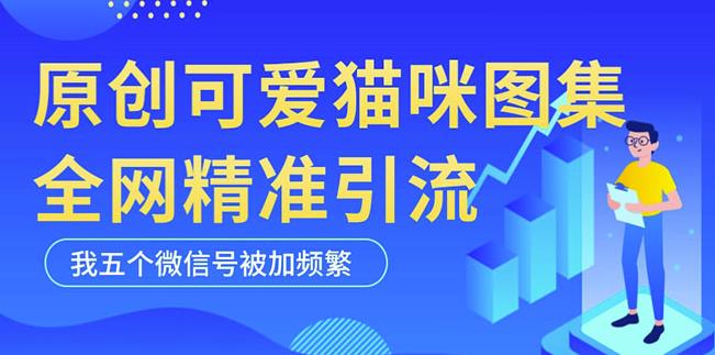 黑科技纯原创可爱猫咪图片,全网精准引流,实操5个VX号被加频繁-知乎者也