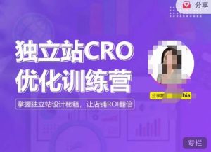 独立站CRO优化训练营，掌握独立站设计秘籍，打造高转化的独立站，让店铺ROI翻倍-知乎者也