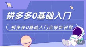六一电商·拼多多运营0-1实操特训营,拼多多从基础到进阶的可实操玩法-知乎者也