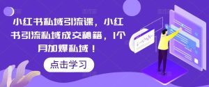 小红书私域引流课，小红书引流私域成交秘籍，1个月加爆私域！-知乎者也