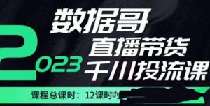 数据哥2023直播电商巨量千川付费投流实操课,快速掌握直播带货运营投放策略-知乎者也