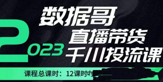 数据哥2023直播电商巨量千川付费投流实操课,快速掌握直播带货运营投放策略-知乎者也