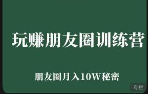玩赚朋友圈系统课,朋友圈月入10W的秘密,7天系统图文课程-知乎者也