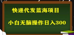 2023最新蓝海快递代发项目,小白零成本照抄也能日入300+-知乎者也