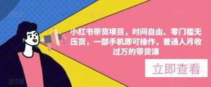 小红书带货项目,时间自由、零门槛无压货,一部手机即可操作,普通人月收过万的带货课-知乎者也