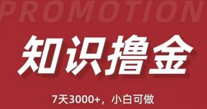 抖音知识撸金项目：简单粗暴日入1000+执行力强当天见收益(教程+资料)-知乎者也