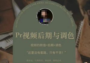 Pr视频后期与调色,视频颜值=后期+调色,这里没有套路,只有干货!-知乎者也