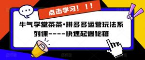 牛气学堂茶茶•拼多多运营玩法系列课—-快速起爆秘籍【更新】-知乎者也