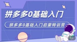 拼多多运营0-1实操特训营,拼多多0基础入门,从基础到进阶的可实操玩法-知乎者也