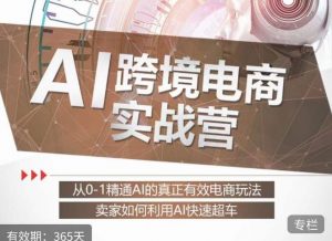 白龙老师·AI跨境电商实战营:从0-1精通Al的真正有效电商玩法,卖家如何利用Al快速超车-知乎者也