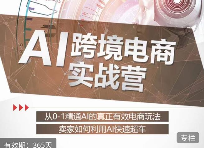 白龙老师·AI跨境电商实战营:从0-1精通Al的真正有效电商玩法,卖家如何利用Al快速超车-知乎者也