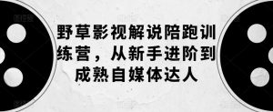 野草影视解说陪跑训练营,从新手进阶到成熟自媒体达人-知乎者也