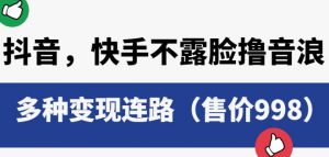 抖音快手不露脸撸音浪项目,多种变现连路(售价998)-知乎者也