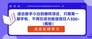 适合新手小白的搬砖项目,只需要一部手机、不用引流也能做到日入300+【揭秘】-知乎者也