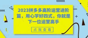 2023拼多多高阶运营进阶篇,用心学好四式,你就是下一位运营高手-知乎者也