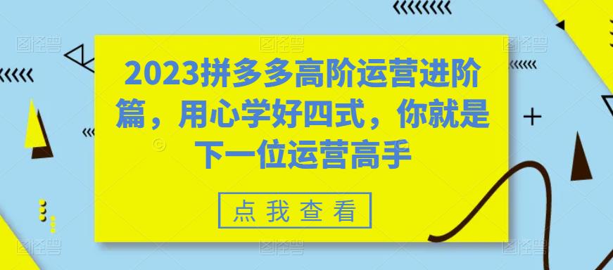 2023拼多多高阶运营进阶篇，用心学好四式，你就是下一位运营高手-知乎者也