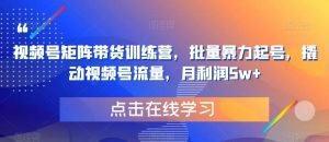 视频号矩阵带货训练营,批量暴力起号,撬动视频号流量,月利润5w+-知乎者也
