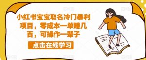 小红书宝宝取名冷门暴利项目,零成本一单赚几百,可操作一辈子-知乎者也