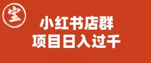 宝哥小红书店群项目,日入过千(图文教程)【揭秘】-知乎者也