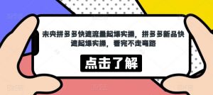 未央拼多多快速流量起爆实操，拼多多新品快速起爆实操，看完不走弯路-知乎者也