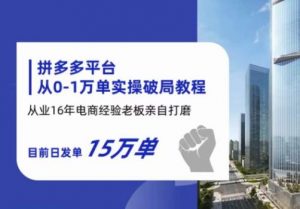 拼多多从0-1万单实操破局教程,从业16年电商经验打磨,目前日发单15万单-知乎者也