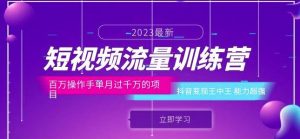 短视频流量训练营:百万操作手单月过千万的项目:抖音变现王中王能力超强-知乎者也