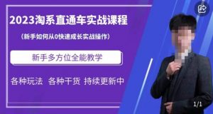 2023淘系直通车保姆式运营讲解,新手如何从0快速成长实战操作,新手多方位全能教学-知乎者也