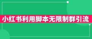 小红书利用脚本无限群引流日引创业粉300+【揭秘】-知乎者也
