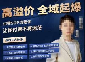 逸风-拼多多高溢价全域起爆,6大课程体系,付费玩法全套实操-知乎者也