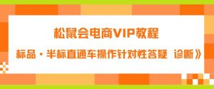 松鼠会电商VIP教程：松鼠《付费推广标品·半标直通车操作针对性答疑&诊断》-知乎者也