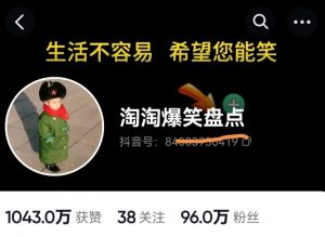 价值1000的搞笑盘点大V淘淘爆笑盘点详细课程+软件，中视频变现-知乎者也