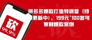 拼多多爆款打造特训营(持续更新中),199元*100套可复制爆款案例-知乎者也