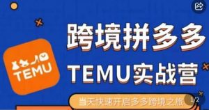 大鹏出海·拼多多跨境temu运营指导,开店注册+选品+核价上架,日出千单实战课-知乎者也