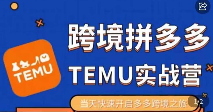 大鹏出海·拼多多跨境temu运营指导,开店注册+选品+核价上架,日出千单实战课-知乎者也