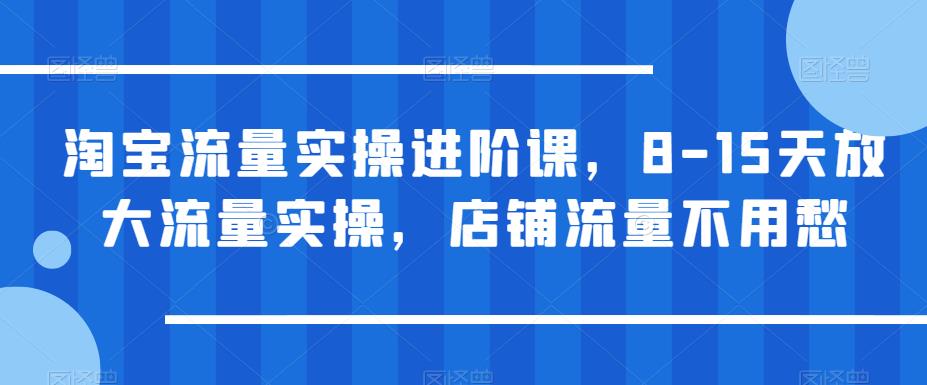 淘宝流量实操进阶课,8-15天放大流量实操,店铺流量不用愁-知乎者也