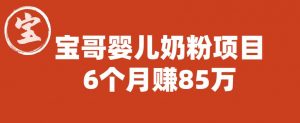宝哥婴儿奶粉项目，6个月赚85w【图文非视频】【揭秘】-知乎者也