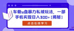 车载u盘暴力私域玩法,一部手机实现日入300+【揭秘】-知乎者也