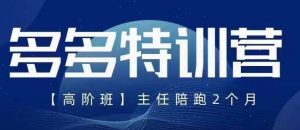 纪主任·5月最新多多特训营高阶班,玩法落地实操,多多全掌握-知乎者也