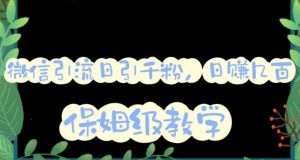 微信互推圈半自动引流方案,矩阵操作日引千人思路【详细视频教程】-知乎者也