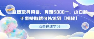 益智玩具项目,月赚5000+,小白新手坚持做就可以达到【揭秘】-知乎者也
