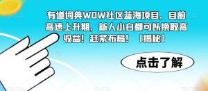 有道词典WOW社区蓝海项目,目前高速上升期,新人小白都可以换取高收益!赶紧布局!【揭秘】-知乎者也