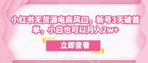 众狼电商余文小红书无货源电商风口,新号3天破首单,小白也可以月入2w+-知乎者也